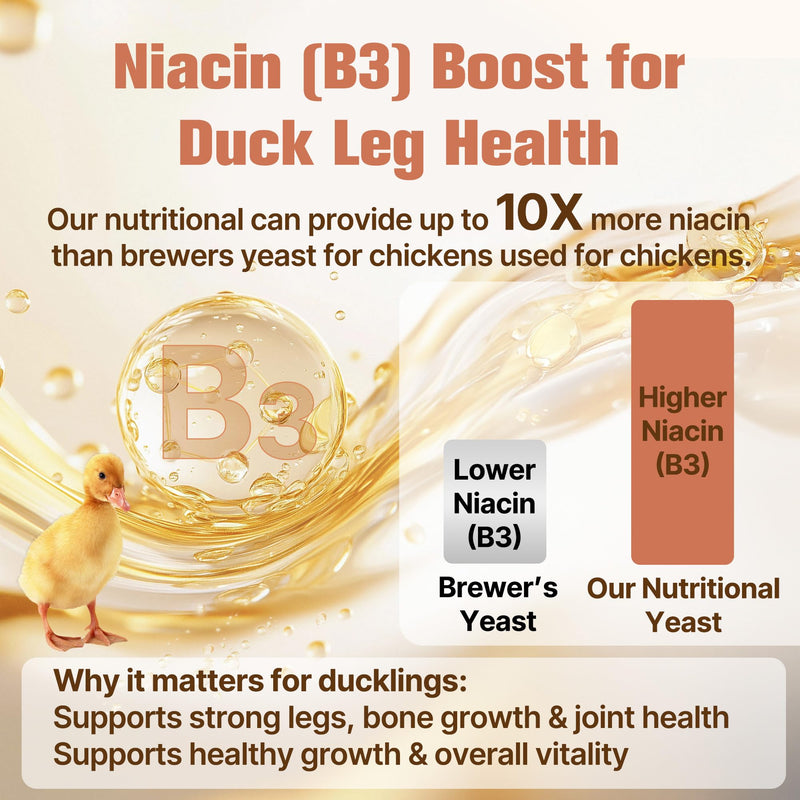 Nutritional Yeast for Ducks & Chickens - Up to 10X More Niacin Than Brewers Yeast for Chickens - Duck & Chicken Vitamins for Strong Bones, Immune Support, Molting & Egg Quality-for Chicks & Ducklings