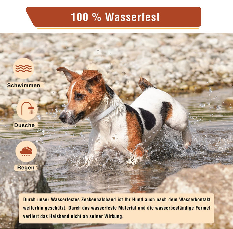 Animal Vita® tick collar for small dogs - 100% natural ingredients - reliable tick protection for up to 8 months - BeesActive Australia