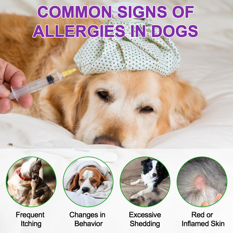 Dog Allergy Relief Chews for Itchy Skin & Immune Support - 150 Soft Chews | Stops Itching, Licking, Scratching & Shedding | Seasonal & Environmental Allergies Relief | Peking Duck Flavor 375g (1Pcs) 1Pcs