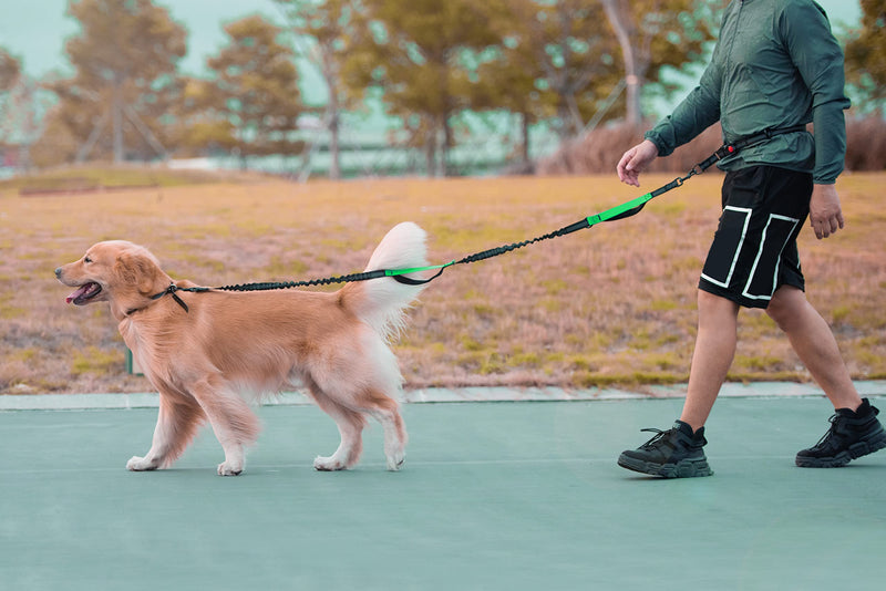 Hands Free Dog Leash for Running, Walking, Hiking, Durable Dual-Handle Bungee Leash with Reflective Stitching and an Adjustable Waist Belt, for Up to 150 lbs Large Dogs (Medium/Large, Black) Medium/Large