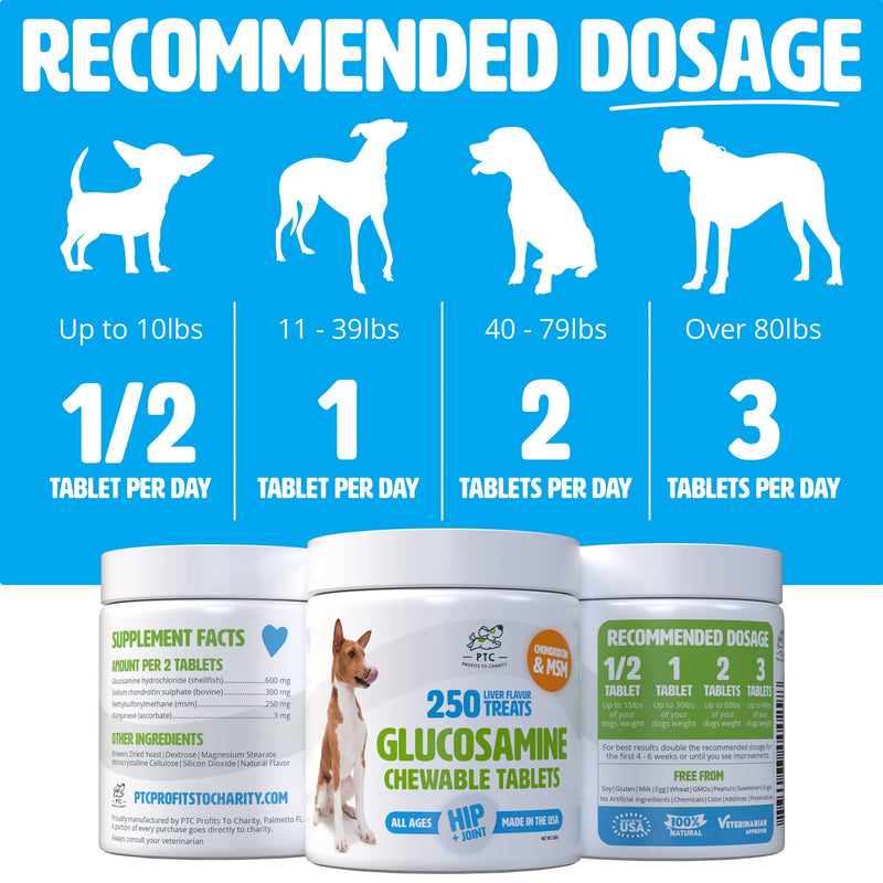 Glucosamine for Dogs with Chondroitin and MSM -Hip and Joint Supplement for Dog Mobility Support and Arthritis Pain Relief - 250 Chewable Tablet Treats 250 Count (Pack of 1)