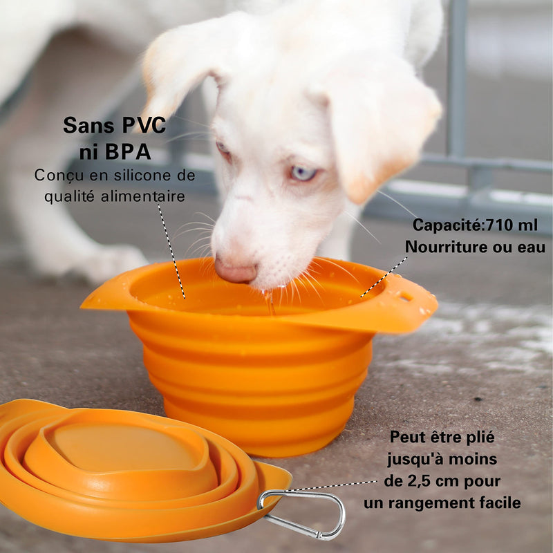 Kurgo Collaps-A-Bowl for Dogs, Collapsible Travel Dog Bowl, Pet Food & Hiking Water Bowl, Food Grade Bowl for Dogs, Travel Accessories for Pets, includes Carabiner (24 oz, Orange) Regular - BeesActive Australia