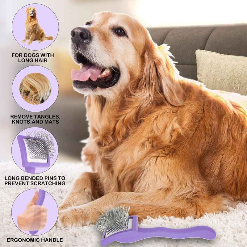 Dog Slicker Brush for Goldendoodles & Golden Doodle Brush for Grooming Kit - Dog Brush for Goldendoodle, Labradoodle, Poodles - Pet Hair Brush for Short & Medium Haired Dogs -Small (Purple) - BeesActive Australia