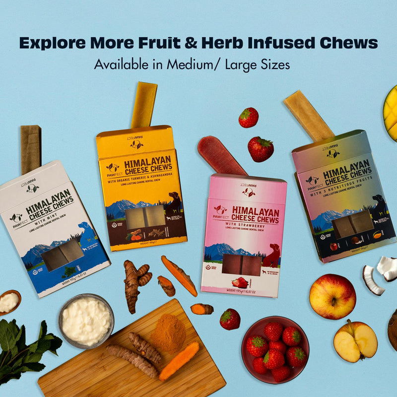 Himalayan Cheese Chews for Dogs Multipack - Apple, Coconut, Mango Chews for Medium Dogs (6.08oz, Pack of 3) Long Lasting, All Natural | Grain-Free | Rawhide-Free | Protein Rich, Healthy Teeth & Bones Apple, Mango, Coconut 2.27 Ounce (Pack of 3) - PawsPlanet Australia