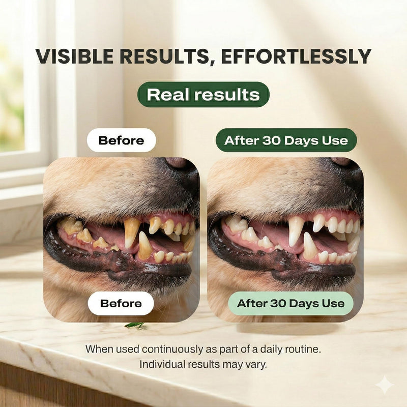 Dogbiotics DE-01 Dental Powder for Dogs – Human-Grade Oral Postbiotic, Helps Fight Plaque & Tartar, Supports Gum Health & Fresh Breath – 60 Scoops (2 oz / 60g) Pack of 1