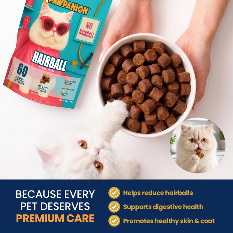 Hairball Soft Chews for Cats, Hairball Control & Digestive Support, Psyllium Fiber + Lecithin + Omega Fatty Acids, Skin & Coat Support, 60 Soft Chews Chicken Flavor