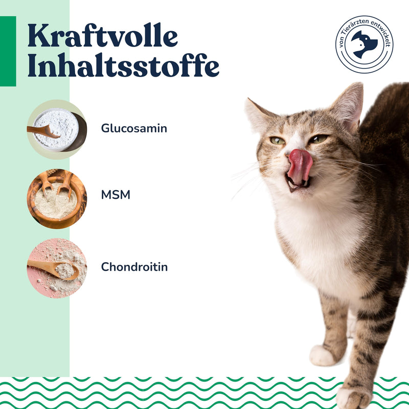 felmo bone and joint paste for cats (100g) promotes flexibility and supports your cat's freedom of movement through high-dose active components without added sugar - BeesActive Australia