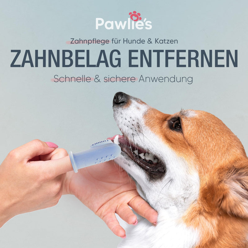 Pawlie's toothbrush for dogs and cats | Practical dog toothbrush fingerling for dental care | Brushing your dog's teeth - Cat & Dog Toothbrush | Finger toothbrush puppies | Dog dental care (2 pieces) - BeesActive Australia