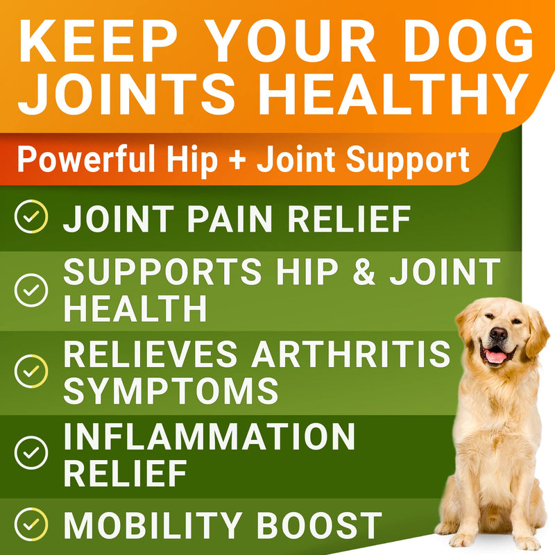 STRELLALAB Salmon Oil + Liquid Glucosamine Bundle – Omega 3 for Skin, Coat & Itch Relief + Hip & Joint Mobility Support – EPA+DHA, Glucosamine, MSM & Collagen – 32 Fl Oz + 16 Fl Oz – Made in USA