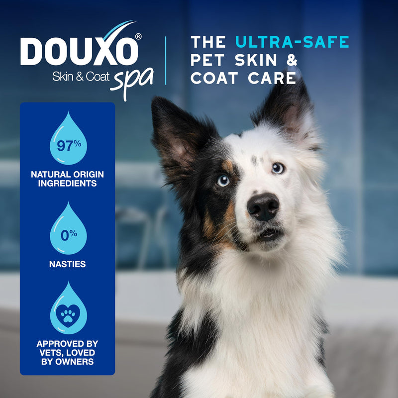 Douxo Spa - Ear Cleaner for Dogs and Cats, 120ml, Micellar Formula Safely Cleans and Removes Wax from the Ear, Flexible Nozzle for Easy Application, ph Balanced, Hypoallergenic Skin-Friendly Formula