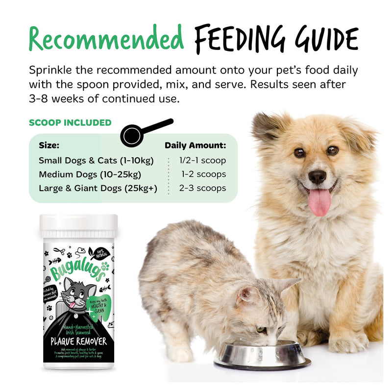 BUGALUGS Plaque Off Remover For Cats 70g Teeth & Bad Breath 100% Natural | Plaque Off Cats No Need For Cat Toothbrush or Cat Toothpaste | Remove Cat Bad Breath & Plaque Remover For Cats