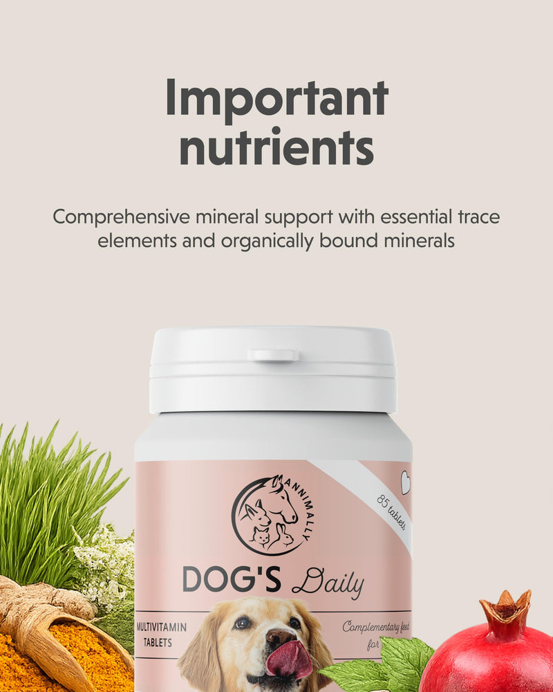 Annimally Dog’s Daily Multivitamin Tablets for Dogs 85 pcs. | Important vitamins for dogs, with minerals & trace elements, ideal for the daily feeding routine, made in Germany