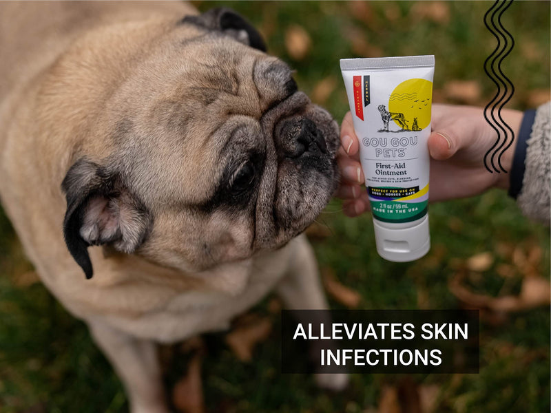 First Aid Ointment Holistic Natural Derived Herbal for Dogs, Cats, Horses for Wounds: Minor Cuts, Bleeding, Abrasions, Slow-Healing Wounds, Open and Puncture Wounds – Made in USA – 1 oz - BeesActive Australia