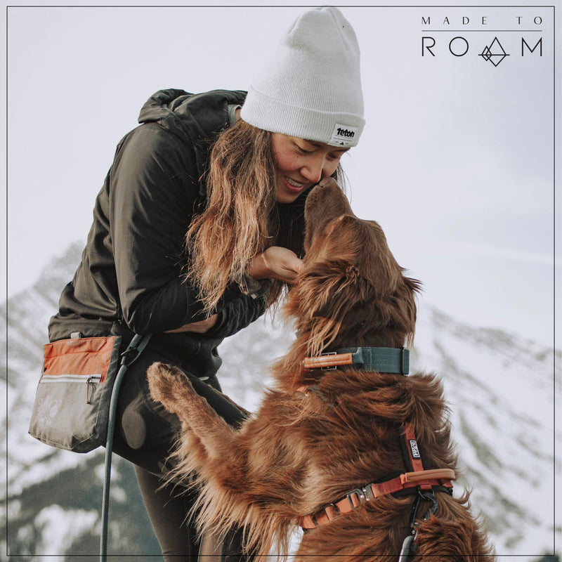 MADE TO ROAM Premium Everyday Leash - Ultra Soft Dog Leash with Aviation Aluminum Carabiner for Small, Medium, Large Dogs - Texas Flair, 4ft (Metal Clamps) 4 Feet, Metal Clamps - BeesActive Australia