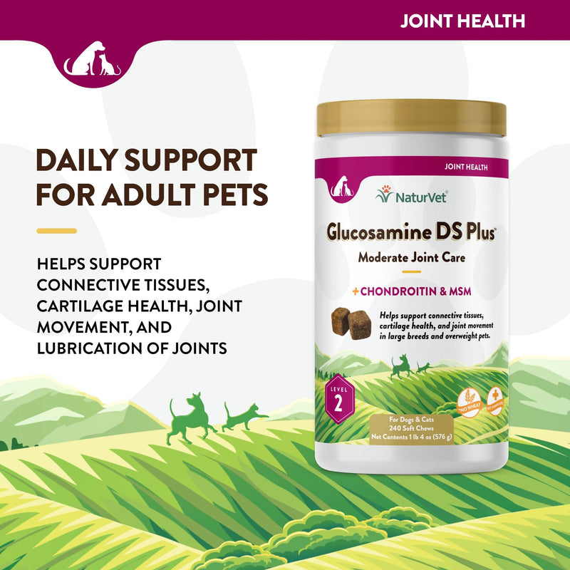 NaturVet – Glucosamine DS Plus - Level 2 Moderate Care – Supports Healthy Hip & Joint Function – Enhanced with Glucosamine, MSM & Chondroitin – for Dogs & Cats – 240 Soft Chews Glucosamine-DS Level 2 - BeesActive Australia