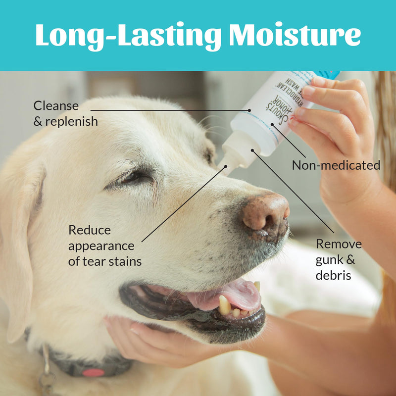 SKOUT'S HONOR HydroClear Eye Wash with Hyaluronic Acid, 4oz Bottle - Non-Medicated, Daily Eye Care for Dogs & Cats Pack of 1