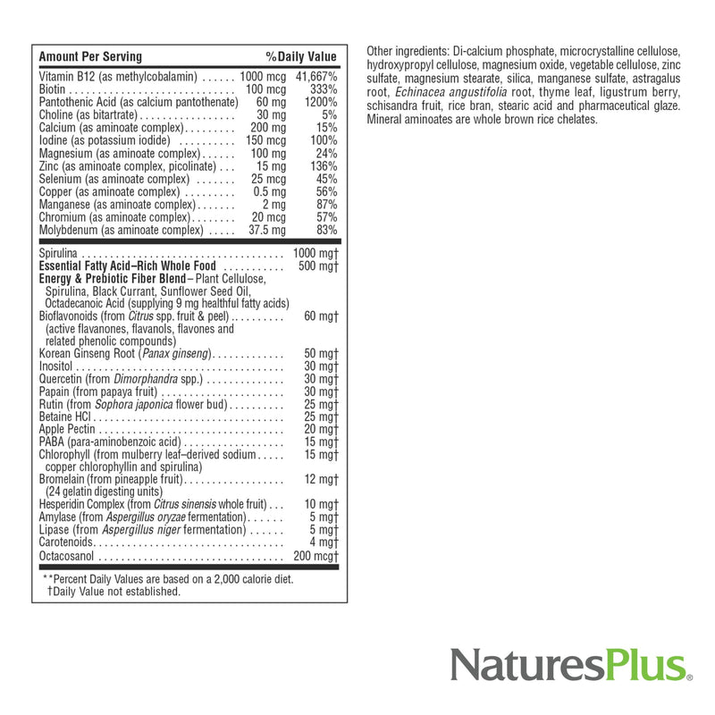 NaturesPlus Source of Life No Iron - 180 Mini-Tabs - Multivitamin & Mineral Supplement - Supports Natural Energy & Overall Well-Being - Gluten Free, Vegetarian - 30 Servings 180 Count (Pack of 1)