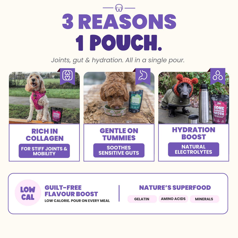YEARS Chicken & Beef Bone Broth for Dogs - Tempts Fussy Eaters, Gentle on Tummies & Supports Joints | Liquid Dog Food Topper & Gravy | Natural Collagen | 2 x 230ml 460ml Chicken & Beef Broth