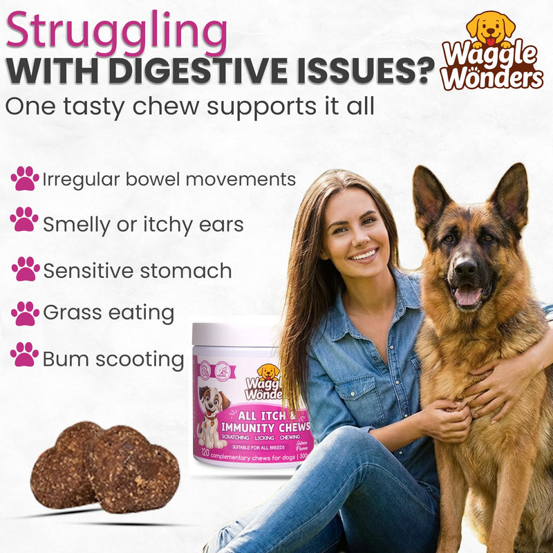 Dog Treats for Itchy Skin - All Itch & Immunity Dog Chews with Salmon Oil, Probiotics & Colostrum, Scratching, Licking & Chewing, 120 Chews