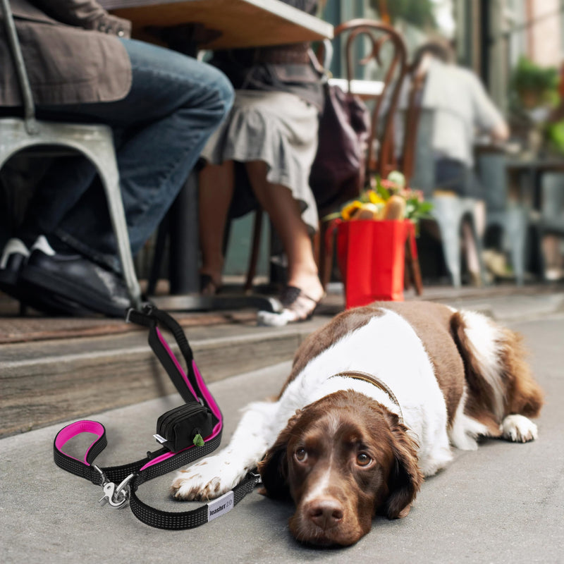 No Pull Dog Leash for Large Dogs – 6ft Highly Reflective Bungee, Heavy Duty Leash for Large Dogs, 4 Padded Handles, Strong Carabiner Clip & Rings, Includes Poop Bag Holder & Treat Pouch (Purple) Purple