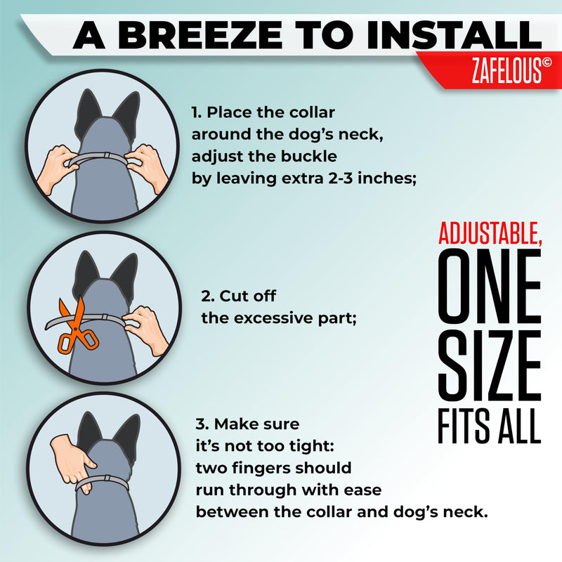 Flea and Tick Prevention for Dogs - Flea Collar - 2 Count - BeesActive Australia