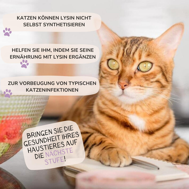 Lamina Care - L Lysine Cat as a remedy for cat colds, natural L-Lysine strengthens the cat's immune system, L Lysine powder with a pleasant taste and easy to incorporate into daily food - BeesActive Australia