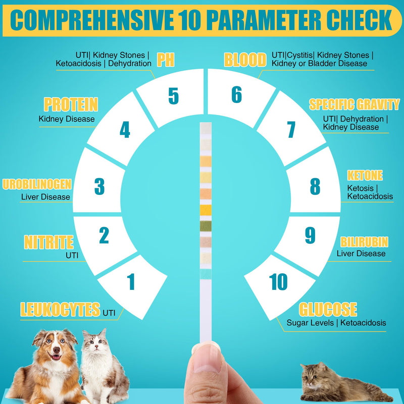 100 x Pet Urine Testing Strips, 10 in 1 UTI Test Kit for Cat & Dog, Multi-Parameter Urinalysis Reagent Strips: Leukocytes, Urobilinogen, Protein, Ph, Blood, Ketone, Bilirubin, Glucose & More - BeesActive Australia
