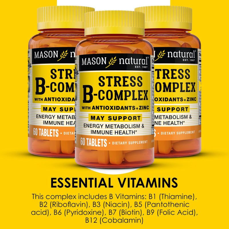 MASON NATURAL Stress B,Complex with Antioxidants + Zinc, 6 Month Supply, Dual Action Formula, Supports Energy Metabolism & Immune Health, 3 Pack