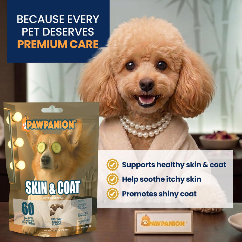 Skin & Coat Soft Chews for Dogs, Omega Fish Oil + Biotin + Vitamin E, Healthy Skin & Shiny Coat Support, Anti Shedding Formula, 60 Soft Chews Salmon Flavor Skin & Coat