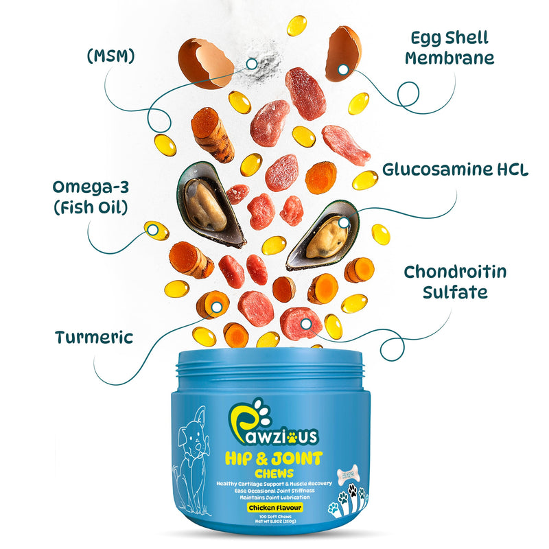 Joint Supplements for Dogs - Dog Hip and Joint Care Chews with Glucosamine, Chondroitin, Green Lipped, Omega-3, Turmeric and MSM for Arthritis, Chicken Flavor (100 Count)
