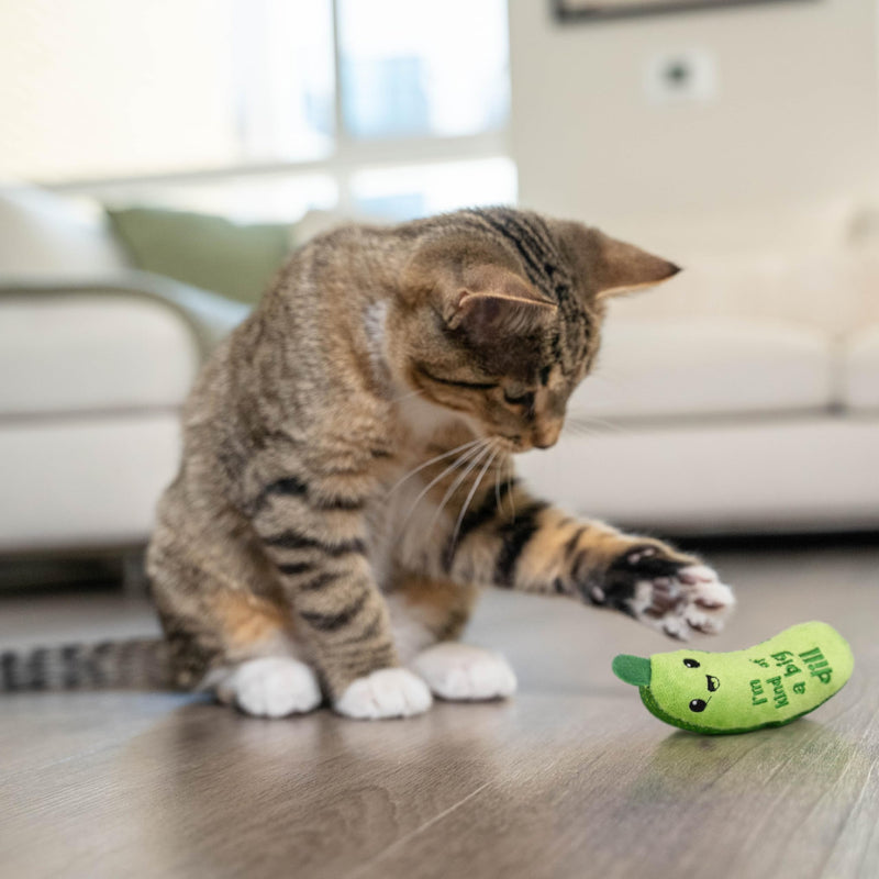 Catstages Crunchy Pickle Kicker Dental Catnip Cat Toy - BeesActive Australia