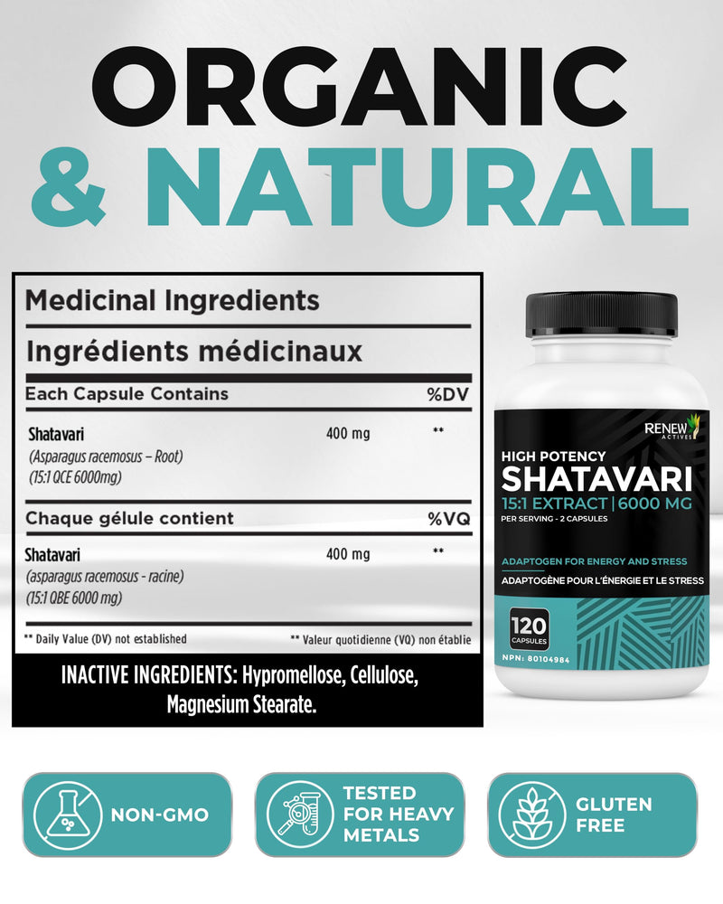 Renew Actives Shatavari Capsules ‚Äì Natural Adaptogen for Energy, Vitality, & Endurance ‚Äì Promotes Wellness & Resilience with Ayurvedic Herbs ‚Äì Organic, Vegan ‚Äì Made in Canada ‚Äì 120 Capsules - BeesActive Australia