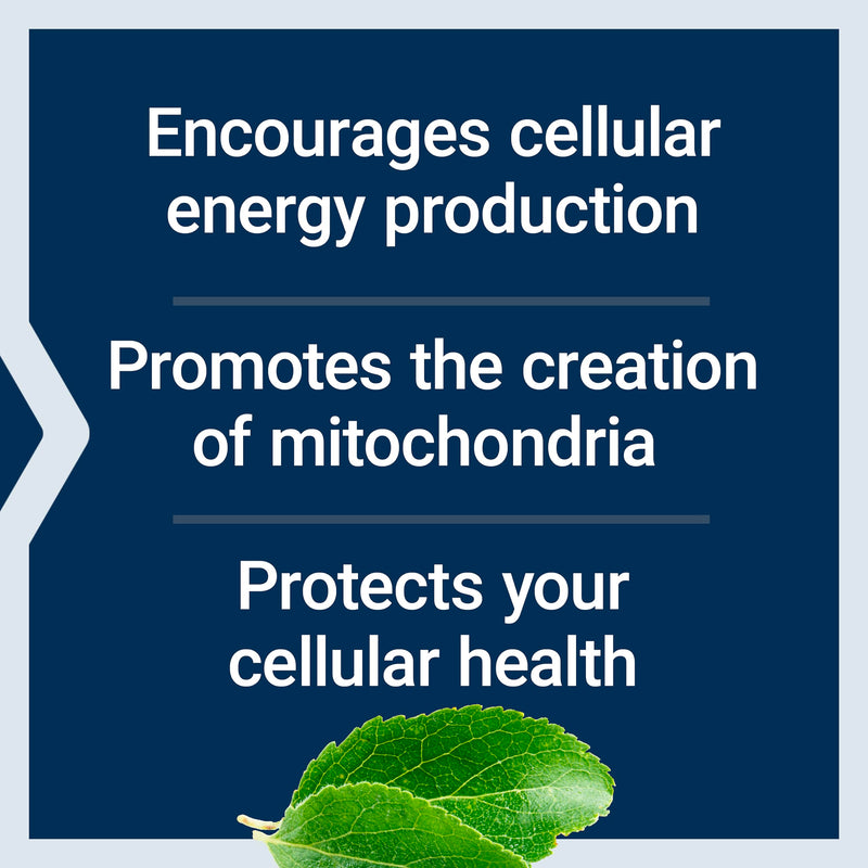 Life Extension Mitochondrial Energy Optimizer with PQQ - Energy Supplement for Healthy Mitochondria - With Taurine, Vitamin B, Pyrroloquinoline Quinone - Gluten-Free, Non-GMO - 120 Vegetarian Capsules | Energy Supplement for Healthy Mitochondria with T...