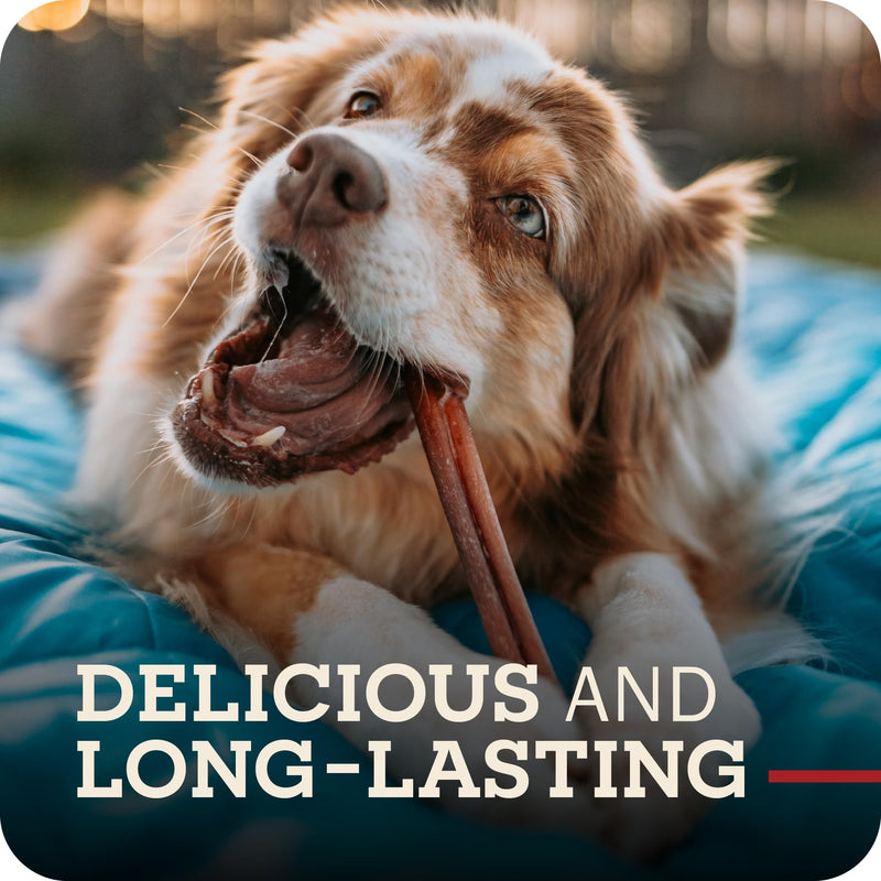 Redbarn Pet Products All Natural 5"-8" Braided Bully Sticks for Small & Large Dogs - Healthy Long Lasting Beef Chews Variety Party Pack - Single Ingredient Low Odor Rawhide Free - 8 oz Bag (Pack of 2) 8 Ounce (Pack of 2)