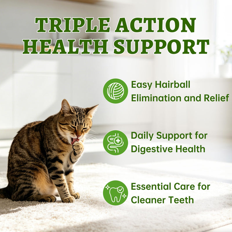 Just Try Cat Grass Sticks for Cat Hairball Control & Teeth Cleaning Dental Chews for Cats Crunchy Cat Treats for Indoor Cats Healthy Cats Treats (17.6 OZ)