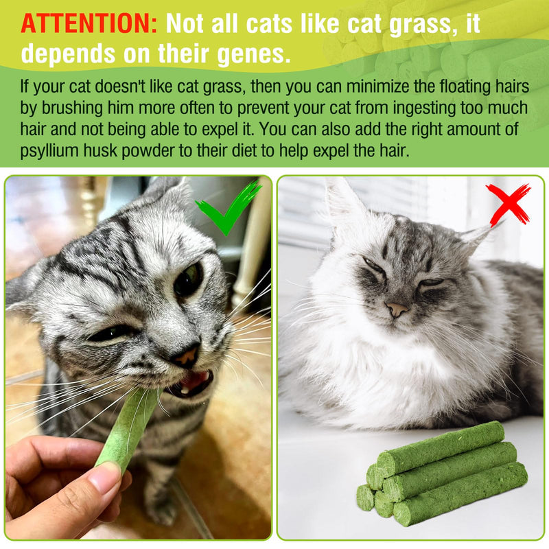 30g Cat Grass Snack, Cat Grass Sticks Naturally Dried Snacks for Cats for Hairball Removal and Dental Care, Catnip, Cat Grass Stick 30g - BeesActive Australia