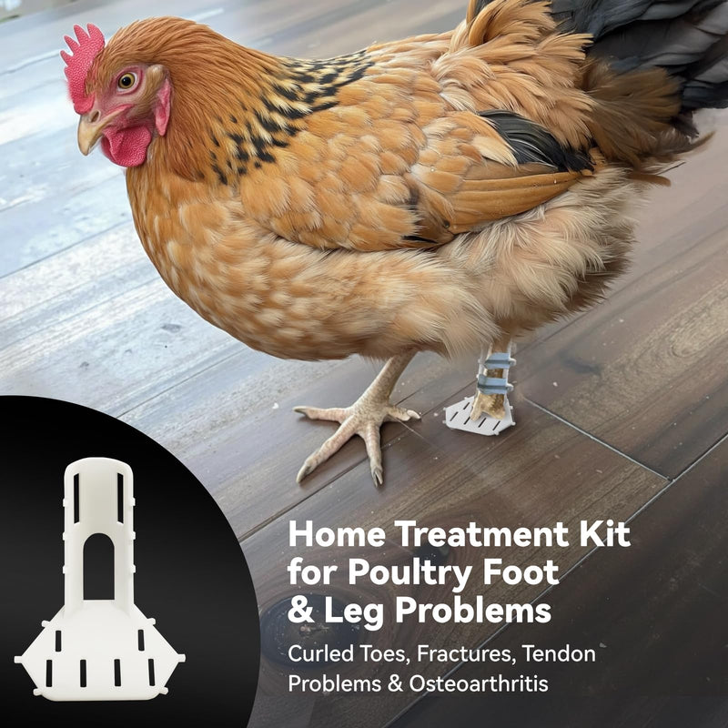 4 Sizes Poultry Leg-Splint Set, Broken Leg Support for Chicken, Duck, Goose - BeesActive Australia