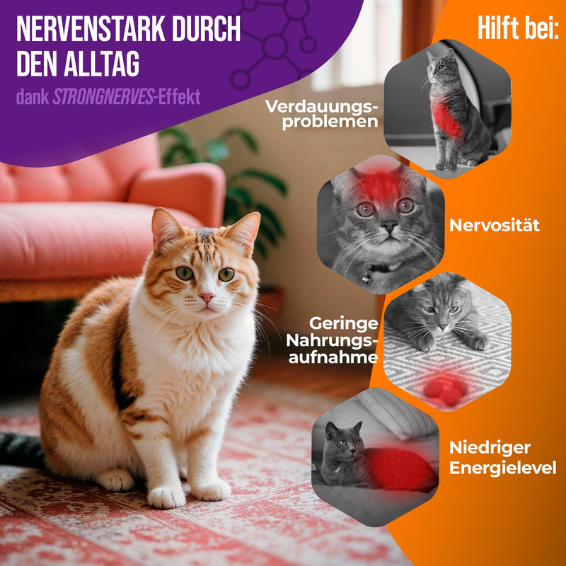 NatiVivo® Premium Cat K1 Vitamin B Complex high dosage including B12 and folic acid. Strong nerves through everyday life! Tablets Made in Germany! Cat - BeesActive Australia