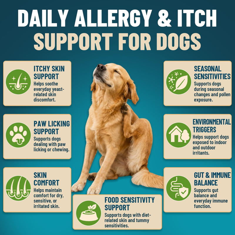 Probiotics for Dogs, 200 Soft Dog Probiotic Chews for Dogs Gut Health Digestive & Immune Support, Dog Probiotics for Yeast Itchy Skin with Digestive Enzymes, Pumpkin, Constipation & Diarrhea Relief