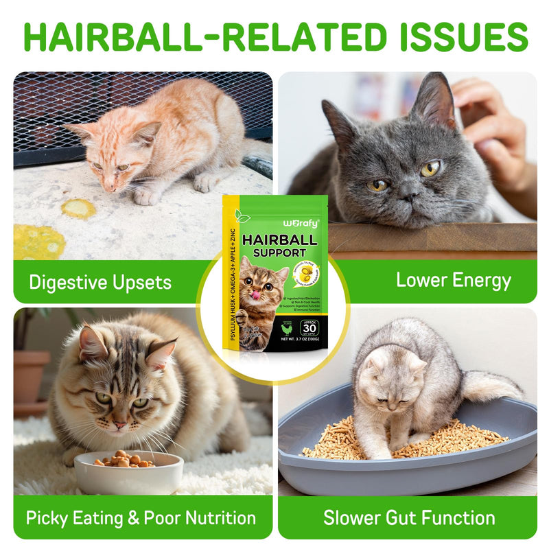 Cat Hairball Remedy Treats, Tasty Supplements to Help Prevent & Remove Hairballs, Supports Digestion, Skin & Coat Health, Chicken 100g (3.7 Oz)
