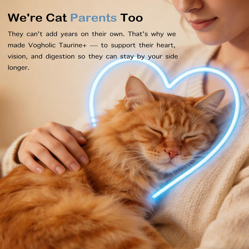 Taurine for Cats - Taurine Powder Supplement for All Ages Including Kittens - Pure Taurine for Heart Vision Vitality & Coat and Immune Health Unflavored (6oz)