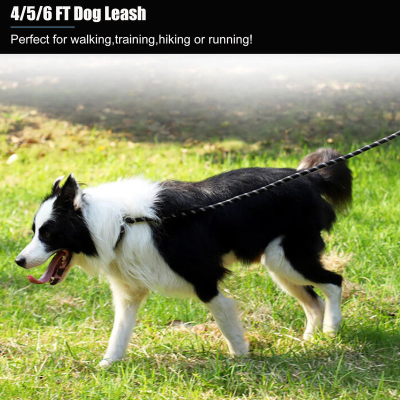 2 Pack Dog Leash, 4/5//6 FT Heavy Duty Nylon Rope Pet Leashes with Comfortable Padded Handle, Reflective Dog Leashes for Small Medium and Large Dogs (5FT-1/2,Black/Black) 1/2"x 5 FT (18~120 lbs.) 2PCS-Black+Black - BeesActive Australia