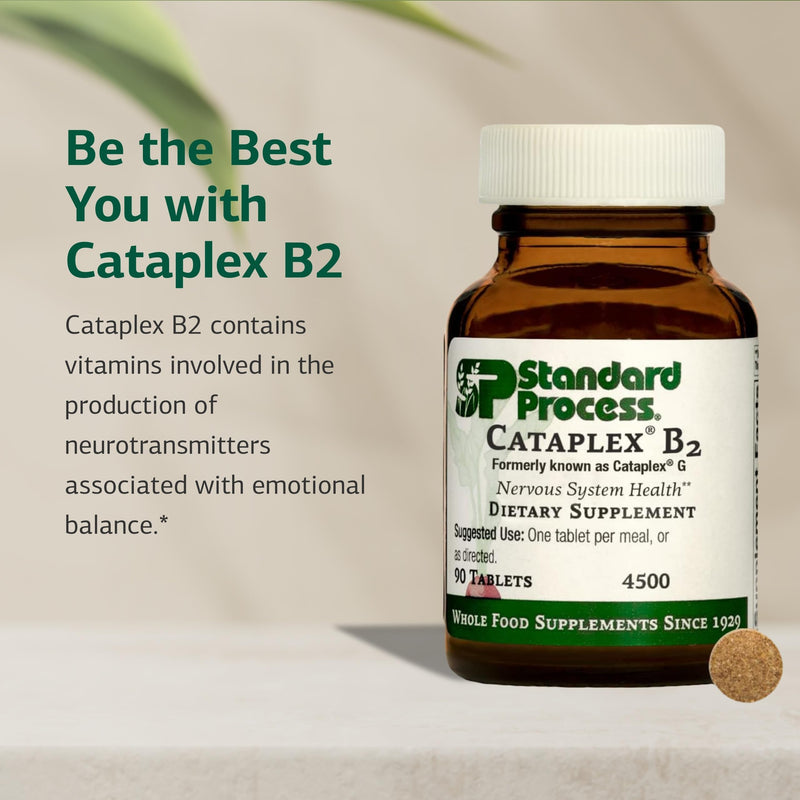 Standard Process Cataplex B2 - Support Nervous System, Brain & Nerve Health - Excellent Source of Vitamin B2 & B6 - Non-Dairy & Non-Soy - 90 Tablets (90 Servings) Unflavored 90 Count (Pack of 1)
