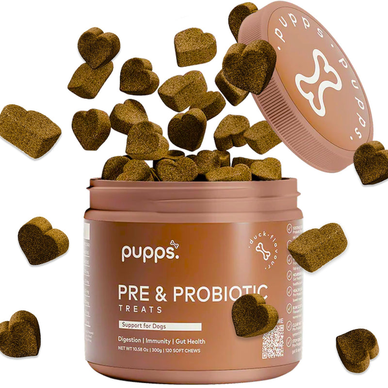 Pupps Pre & Probiotic Dog Treats – 120 Gut Health Chews | 4.5 Billion CFUs with Pumpkin & Digestive Enzymes | For Sensitive Stomachs, Digestion & Immunity | Duck Flavour | Vet Approved, UK Made 120 x Chews