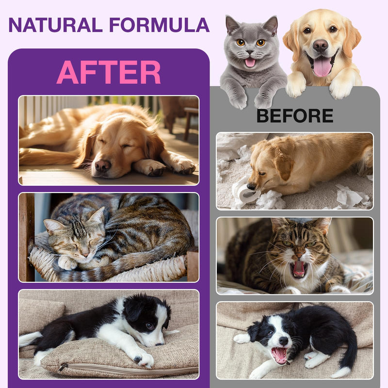 Pet Melatonin Drops 60ml for Dogs & Cats, Calming Liquid Supplement for Pets, Supports Relaxation & Healthy Sleep Cycles, Anxiety Relief for Travel, Fireworks & Stress, Easy Absorption Formula 1