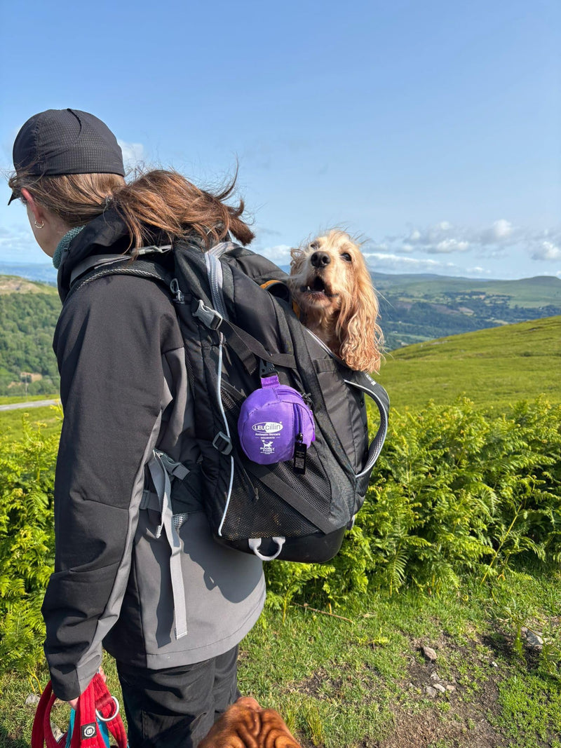 Leucillin Dog First Aid Kit & 30ml Leucillin Antiseptic Spray - Travel Size Mini First Aid Kit for Dogs, Ideal for Walking, Camping, Cars, Paw Emergency, Cats and All Other Pets