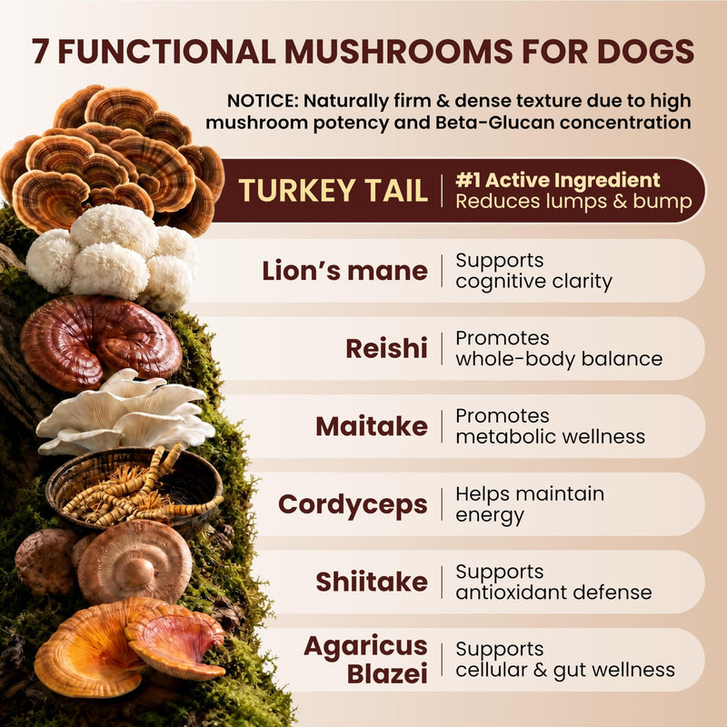 Pawpulse Formula Mushroom Chews for Dogs with Turkey Tail, Lion's Mane & Reishi – Senior Dog Supplement for Lipoma, Lumps & Bumps – Immune Support & Gut Health – 80 Count