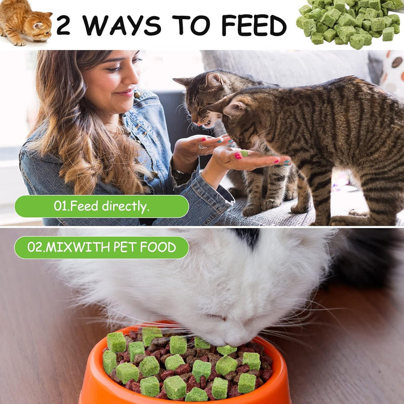 HavenJanny 60g Cat Grass Treats for Cat, Freezed Drying Cat Grass Teething Stick Snacks for Cats, Edible Cat Chew Toys for Teeth Cleaning and Hairball Removal 2.11ounce - BeesActive Australia