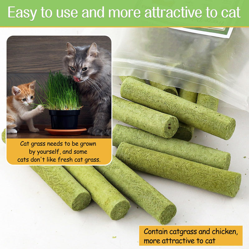 HavenJanny 50g Cat Grass Teething Stick, Freezed Drying Cat Grass Sticks Snacks for Cats, Edible Cat Treats for Teeth Cleaning and Hairball Removal - BeesActive Australia