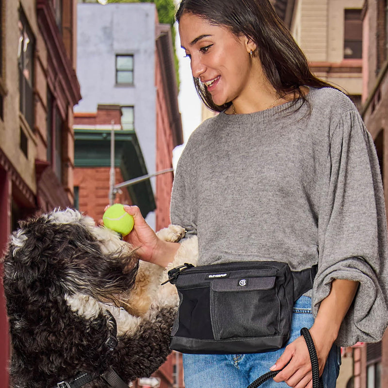 Dog Walk & Train Sling Bag - Hands-Free 2-In-1 Treat Pouch, Poop Bag Holder, Clicker, Phone Pocket - Crossbody/Fanny Pack, Adjustable Strap - Graphite - BeesActive Australia